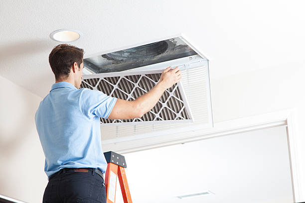 Best Air Filters and Purifiers in De Pere, WI